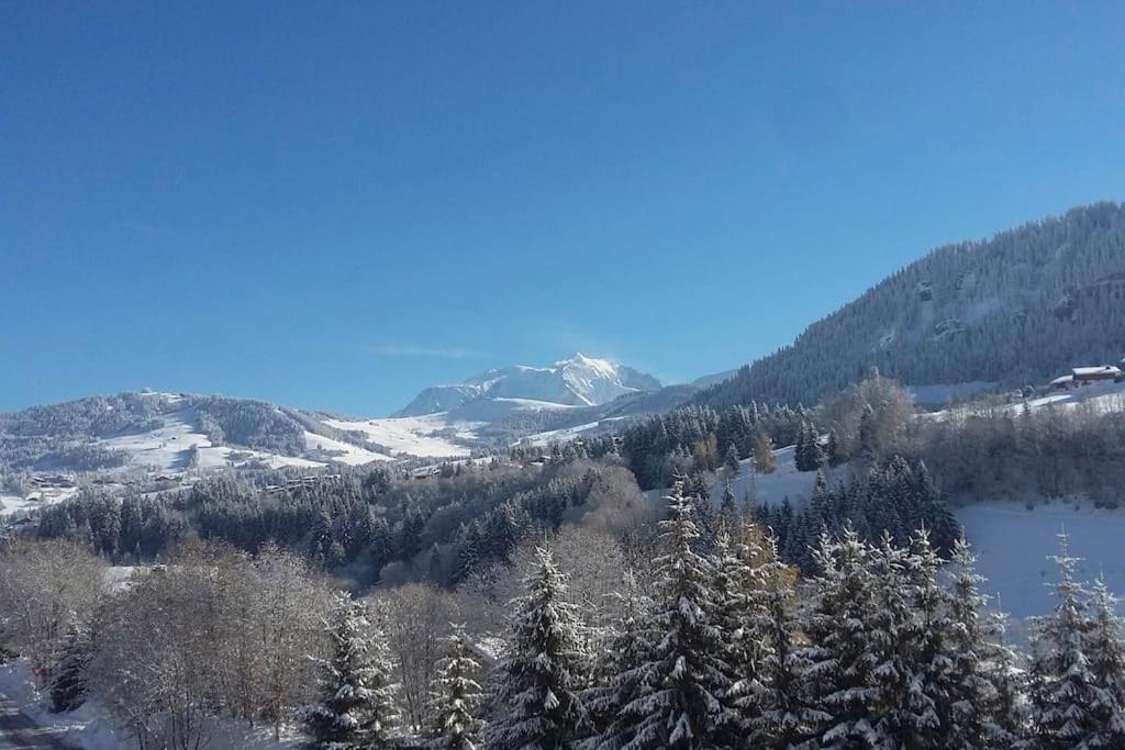 Chalet Vue Mont-Blanc, +4 Chambres, Cheminee Megeve Bagian luar foto